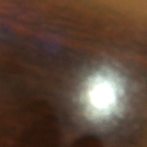 Meet your Posher, Sasavannah